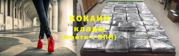 дживик Елабуга