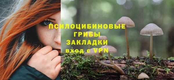 скорость mdpv Ельня