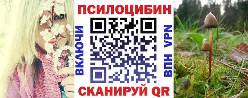 Галлюциногенные грибы мухоморы  дарнет шоп  Кизилюрт 